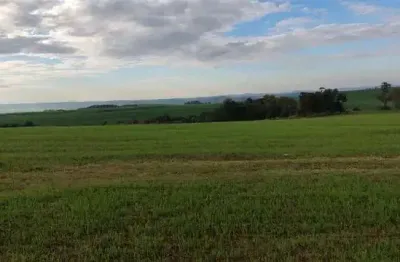 Chácara / sítio com 1 quarto à venda na Zona Rural, 1, Zona Rural, Tamarana