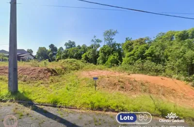 Terreno à venda no Nereu Ramos, Jaraguá do Sul 