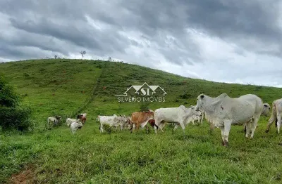 Fazenda à venda no Centro, Paraíba do Sul 