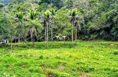 Fazenda à venda no Xerém, Duque de Caxias 
