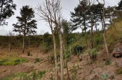 Terreno em condomínio fechado à venda em Itaipava, Petrópolis 