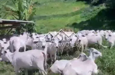 Fazenda à venda no Posse, Petrópolis 