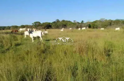 Terreno à venda no Piranema, Seropédica 