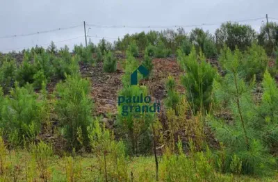 Terreno à venda na Rua Sérgio Luiz Alvez Nazario, lote 6, São Giácomo, Caxias do Sul