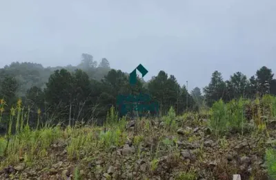 Terreno à venda na Rua Sergio Luiz Alvez Nazario, lote 10, São Giácomo, Caxias do Sul