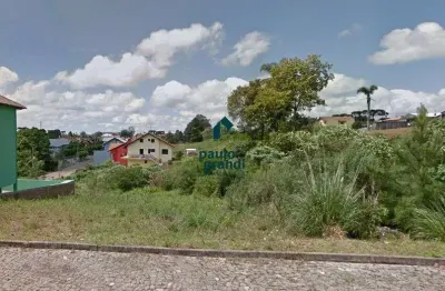 Terreno à venda na Rua Das Papoulas, s n, Bavária, Nova Petrópolis