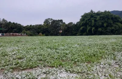 Lindo sítio à venda no centro de leoberto leal – 8.335 m² de oportunidade!