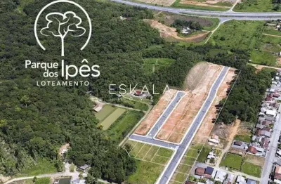 Lotes no loteamento do parque dos ipês | schroeder 1 - schroeder