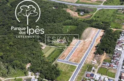 Lotes no loteamento do parque dos ipês | schroeder 1 - schroeder