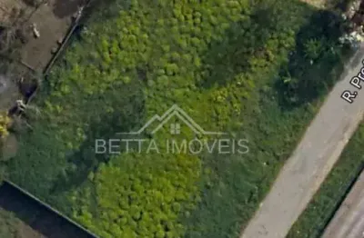 Terreno para venda em são josé dos pinhais, roseira de são sebastião