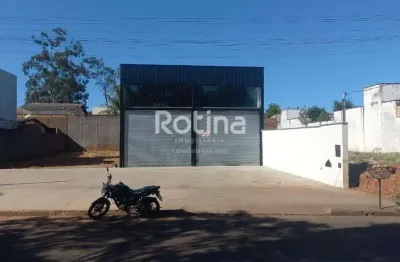 Galpão para alugar, jardim europa - uberlândia/mg - rotina imobiliária