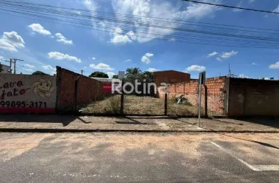 Terreno para alugar, jardim patrícia - uberlândia/mg - rotina imobiliária