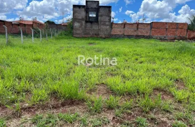 Terreno para alugar, shopping park - uberlândia/mg - rotina imobiliária