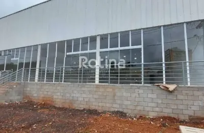 Galpão para alugar, santa mônica - uberlândia/mg - rotina imobiliária