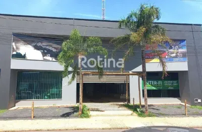 Loja para alugar, são jorge - uberlândia/mg - rotina imobiliária