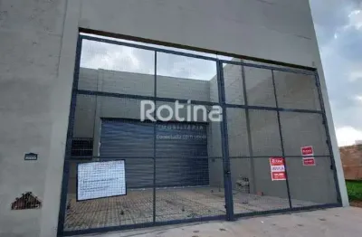 Galpão para alugar, jardim canaã - uberlândia/mg - rotina imobiliária