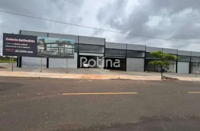Loja para alugar, jardim botânico - uberlândia/mg - rotina imobiliária