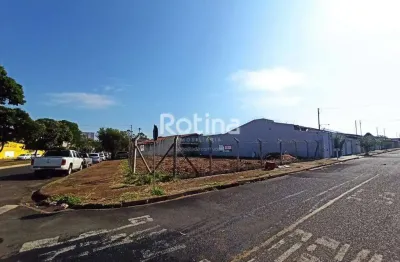 Terreno para alugar, planalto - uberlândia/mg - rotina imobiliária