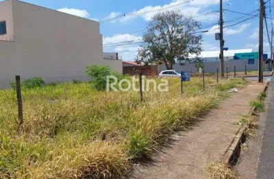 Terreno para alugar, alto umuarama - uberlândia/mg - rotina imobiliária