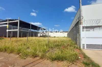 Terreno para alugar, alto umuarama - uberlândia/mg - rotina imobiliária