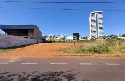 Terreno para alugar, morada da colina - uberlândia/mg - rotina imobiliária