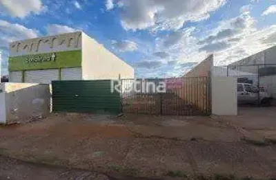 Terreno para alugar, aclimação - uberlândia/mg - rotina imobiliária