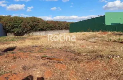 Terreno para alugar, aclimação - uberlândia/mg - rotina imobiliária