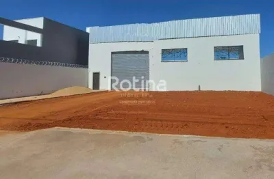 Galpão para alugar, custódio pereira - uberlândia/mg - rotina imobiliária