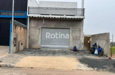 Galpão para alugar, jardim canaã - uberlândia/mg - rotina imobiliária