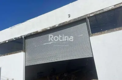 Galpão para alugar, grand ville - uberlândia/mg - rotina imobiliária
