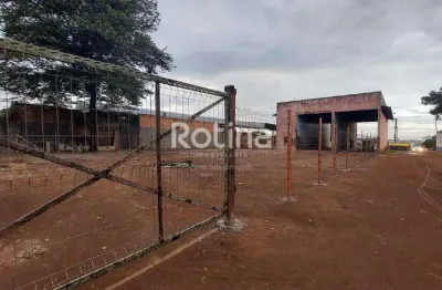 Galpão para alugar, minas gerais - uberlândia/mg - rotina imobiliária