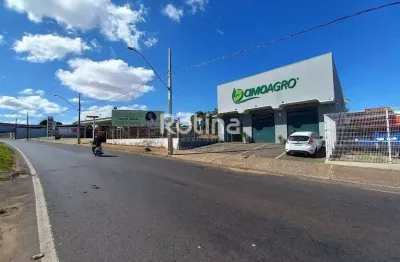 Loja para alugar, martins - uberlândia/mg - rotina imobiliária