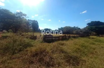Área para alugar, morada dos pássaros - uberlândia/mg - rotina imobiliária