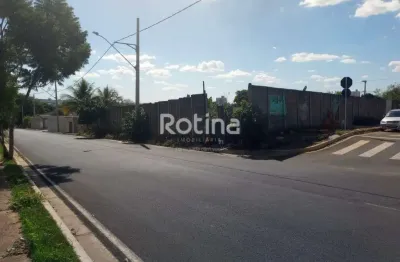 Terreno para alugar, aclimação - uberlândia/mg - rotina imobiliária