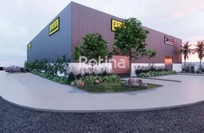 Galpão para alugar, centro empresarial leste - uberlândia/mg - rotina imobiliária