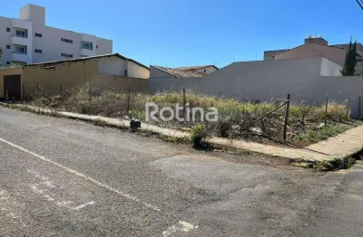 Terreno para alugar, santa mônica - uberlândia/mg - rotina imobiliária
