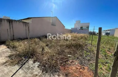 Terreno para alugar, novo mundo - uberlândia/mg - rotina imobiliária