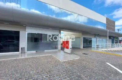 Loja para alugar, vigilato pereira - uberlândia/mg - rotina imobiliária