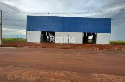 Galpão para alugar, loteamento centro empresarial leste iii - uberlândia/mg - rotina imobiliária