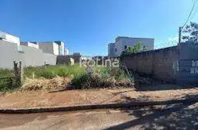 Terreno para alugar, novo mundo - uberlândia/mg - rotina imobiliária