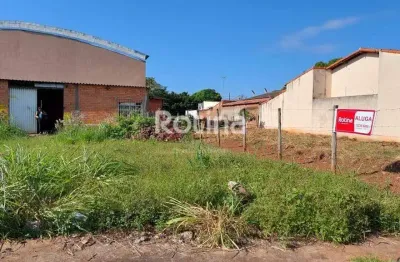 Terreno para alugar, jardim das palmeiras - uberlândia/mg - rotina imobiliária