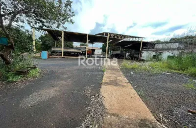 Galpão para alugar, distrito industrial - uberlândia/mg - rotina imobiliária