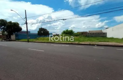 Terreno para alugar, jardim botânico - uberlândia/mg - rotina imobiliária