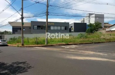 Área para alugar, jardim botânico - uberlândia/mg - rotina imobiliária