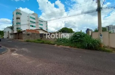 Área para alugar, patrimônio - uberlândia/mg - rotina imobiliária