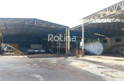 Galpão para alugar, distrito industrial - uberlândia/mg - rotina imobiliária