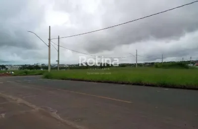 Área para alugar, shopping park - uberlândia/mg - rotina imobiliária