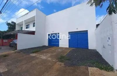 Galpão para alugar, jardim botânico - uberlândia/mg - rotina imobiliária