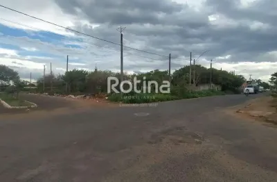 Terreno para alugar, segismundo pereira - uberlândia/mg - rotina imobiliária