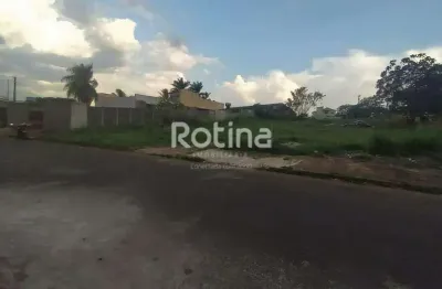 Área para alugar, jaraguá - uberlândia/mg - rotina imobiliária